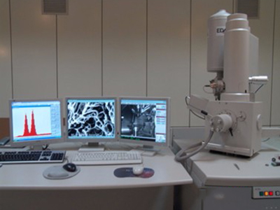  Растровая сканирующая электронная микроскопия  